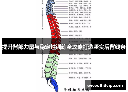 提升背部力量与稳定性训练全攻略打造坚实后背线条